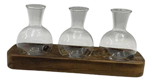 Jarrones De Hidropónicas, Macetero De Cristal Moderno Con