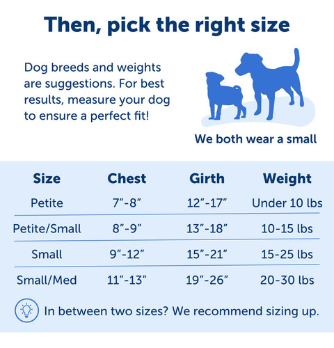 Arnés Para Perros Petsafe Easy Walk No Pull, Tamaño Pequeño,