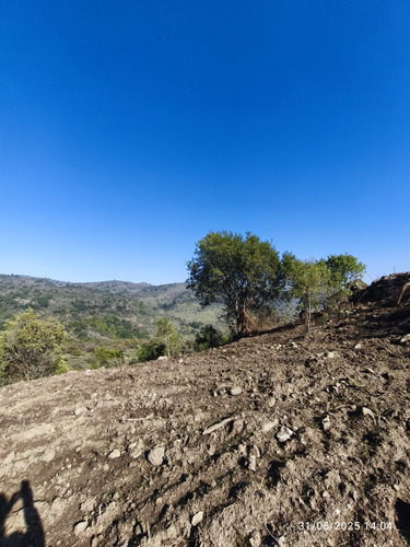 Se Vende Parcela 5000 Mts.