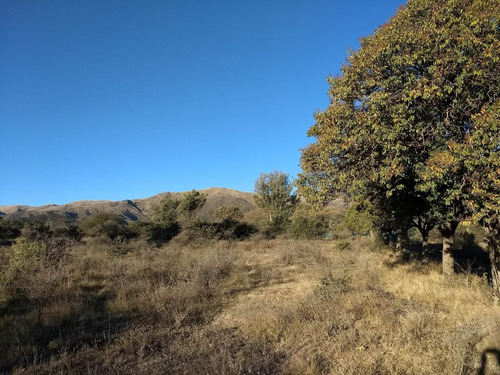 Imagen 30 de 30 de Terrenos En Las Sierras