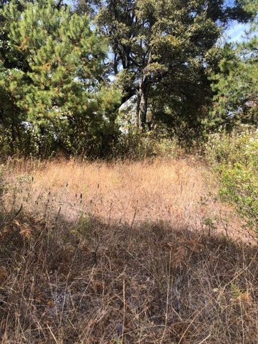 Imagen 16 de 24 de Terreno En Venta En Amanalco De Becerra, Amanalco, Edo. De México.