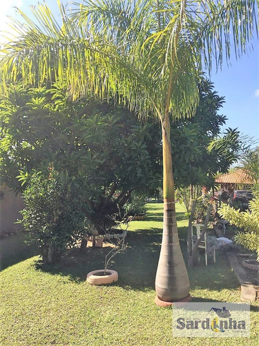 Imagem 3 de 13 de Chácara À Venda - Porangaba - 4097