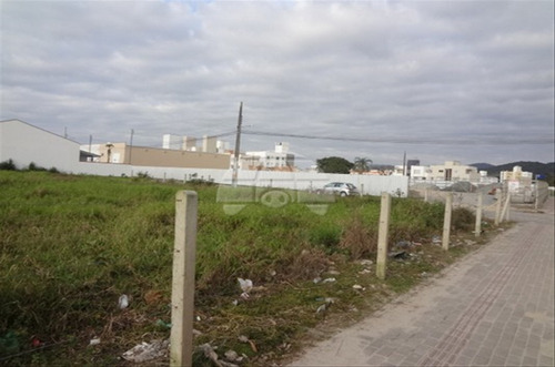 Imagem 3 de 7 de Terreno - Comercial/residencial - 60659