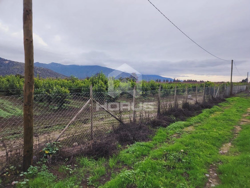 Venta De Parcela En Peumo