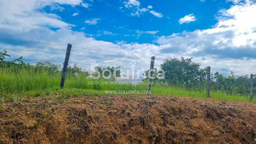 Imagen 14 de 27 de Amplia Finca, Colinas De San Benito - El Vigía