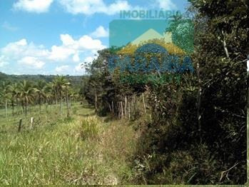 Imagem 12 de 15 de Sítio Rural À Venda, Conde, Conde - Si0001. - Si0001