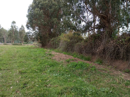 Vendo 3,56 Ha De Terreno, Especial Para Cultivo De Avellano,