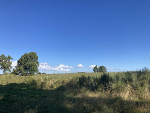 Imagen 11 de 14 de Chacra De 7 Hás Sobre Ruta 12 A 5 Km De Tala,