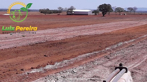 Imagem 1 de 8 de Fazenda À Venda Em Santa Rosa - To - De 391 Alqueirões (dupla Aptidão) - 1796