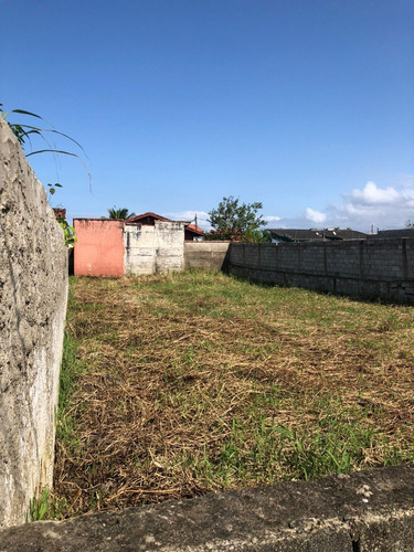 Imagem 3 de 3 de Terreno Na Praia À 500 Metros Do Mar, No Balneário San Marcos Em Itanhaém, Com 387,54 M² De Área Total Ref: Ter234/ac