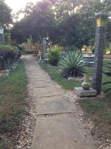 Imagen 2 de 12 de Frances Mijares Vende Finca Terreno Propio En Taguanes Tinaquillo Cód 163349