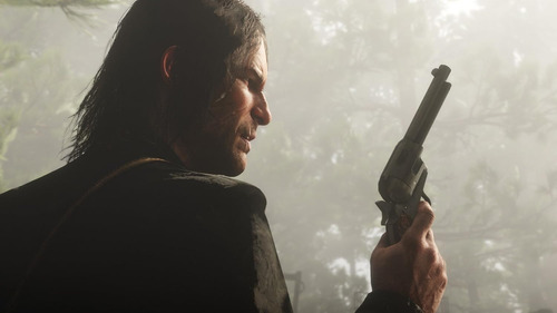Juego: Red Dead Redemption 2 (ps4)