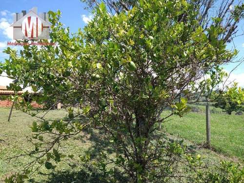 Chácara Ampla Com 03 Dormitórios, Pomar E Linda Vista À Venda, 1000 M² Por R$ 400.000 - Rural - Socorro/sp - Ch0611