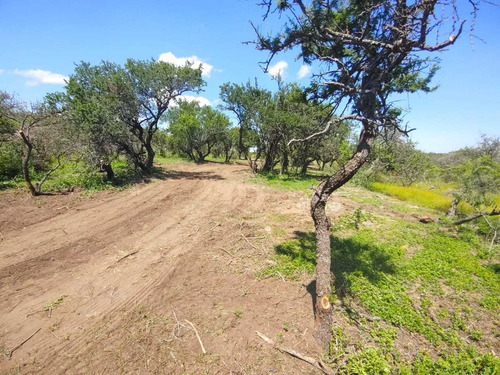 Imagen 3 de 14 de Preventa De Lotes De 1000m2 Y 1250m2 En San Luis