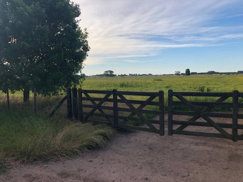 Campo En Venta En Lujan Centro