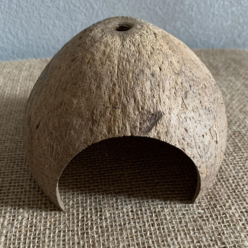 Shells Hut Shelter Nest Tank Aquarium Decor Ermitaño