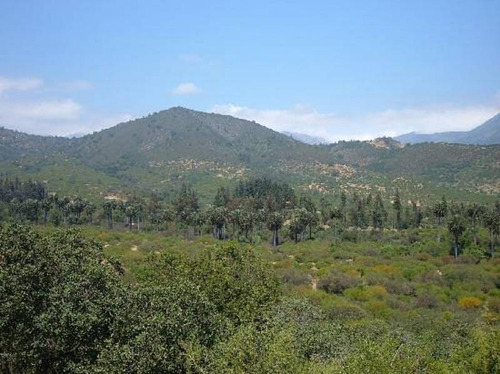 Oasis De La Campana / Reserva Ecologica