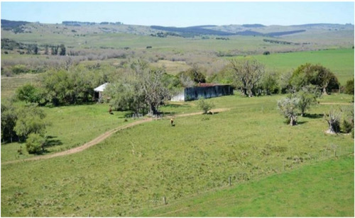 Imagen 3 de 13 de Terreno Campo En Venta Ubicado En El Tesoro, Punta Del Este