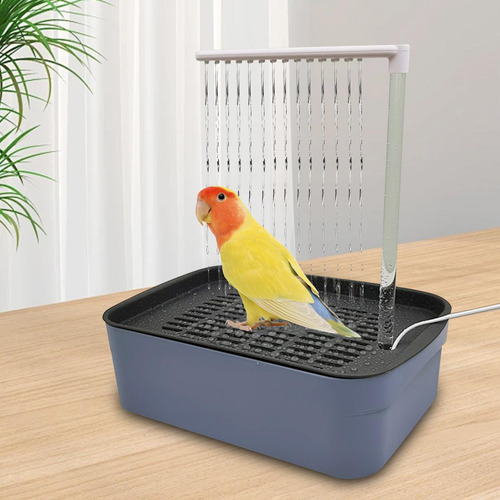 Bañera Para Loros, Cuenca De Ducha Eléctrica, Dispositivo