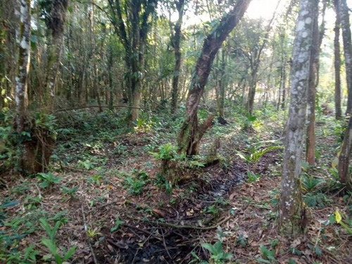 Imagem 3 de 23 de Chácaras Na Praia À Venda Em Itanhaem/sp - Compre O Seu Chácaras Na Praia Aqui! - 1465074