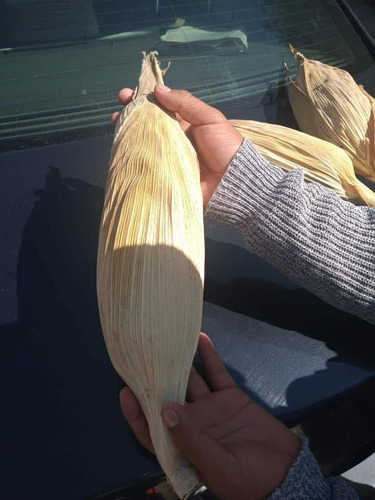 Semilla De Maíz Unisem Hojero 266 3 Kg