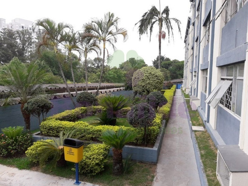 Imagem 13 de 14 de Apartamento A Venda E Locação, Residencial Anhanguera, Jardim Ana Maria, Jundiaí - Ap08850 - 4734989