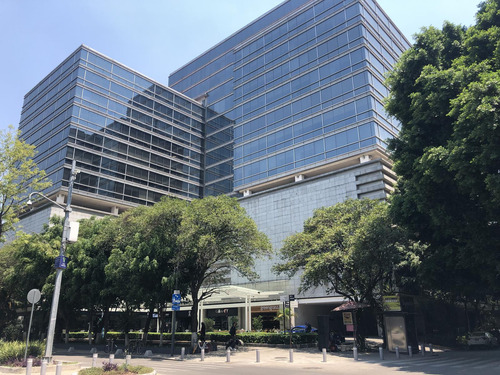 Oficina En Renta - Masaryk Piso 7 - 511 M2