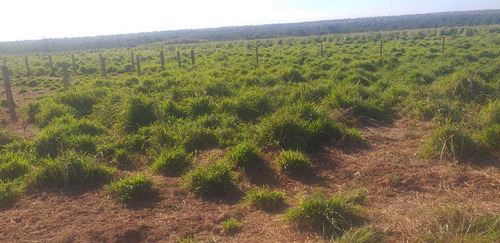 Imagem 2 de 25 de Rural, Zona Rural, Nova Crixás - Go | 945509 - Go - Ch0113_abi