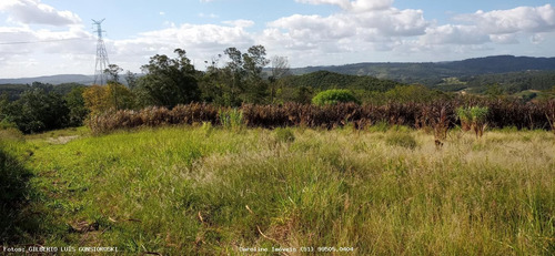 Imagem 4 de 15 de Área Rural Para Venda Em Mariana Pimentel, Linha Do Registro - 1245_1-1842627