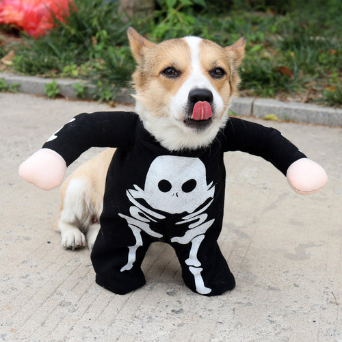 Disfraz De Perro Esqueleto Disfraces De Perro De Halloween R