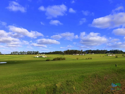 Venta De Terreno Con Gran Superficie En Laguna De Los Cisnes Sobre Ruta Interbalnearia