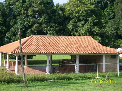 Imagen 4 de 13 de Finca En San Diego Urbanización El Polvero