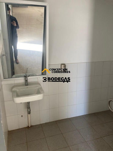 Arriendo Bodega De 300 M2 En Camino A Noviciado.