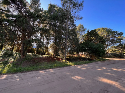 Imagen 12 de 16 de Lote En Carilo Hornero Y Paraíso