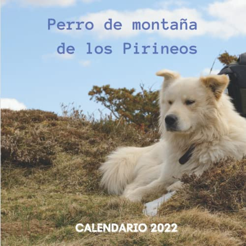 Perro De Montana De Los Pirineos Calendario 2022: Calendario