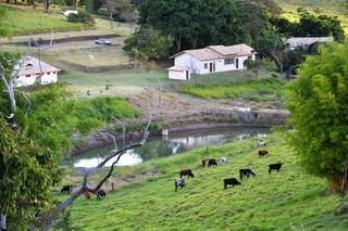 Oportunidade - Fazenda - 1104