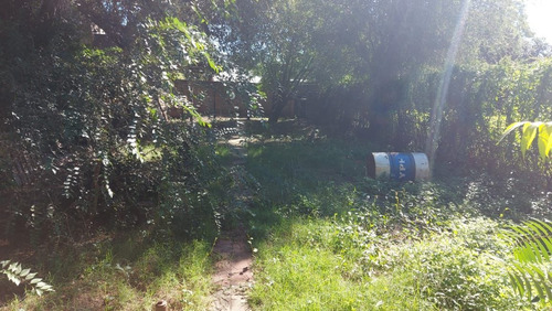 Casa Centrica En Alquiler Y/o Venta En #trenquelauquen
