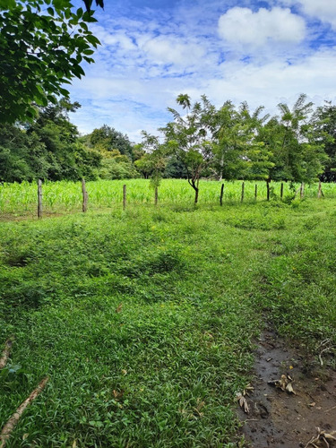 Imagen 9 de 14 de Guanacaste, Bagaces Vendo Finca. Financio El 70% Directo Sin Banco