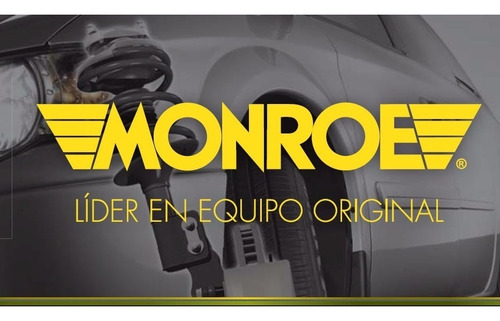 Amortiguador Delantero Izquierdo Ford Kuga /2012