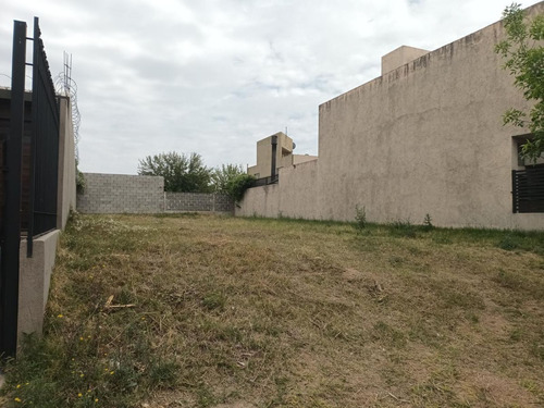 Lote Nuevo Urca 272 M2
