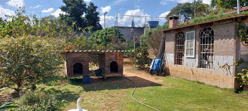 Imagem 3 de 15 de Chacara - Ref: 7235 - V-7235