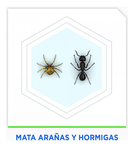 Insecticida en Aerosol Raid Mata Hormigas y Arañas 400ml