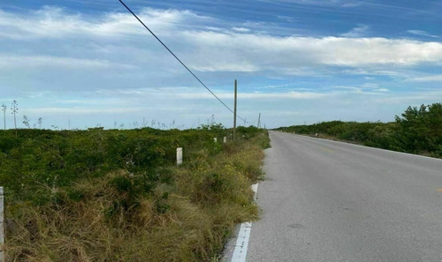 Imagen 3 de 6 de Lotes De Oportunidad En Santa Clara, Yucatan | En Tercera Fi