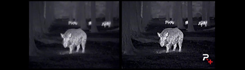 Nocpix Monoculo Termal Lumi P13- Caça Pard Imagem Termica Lumi P13