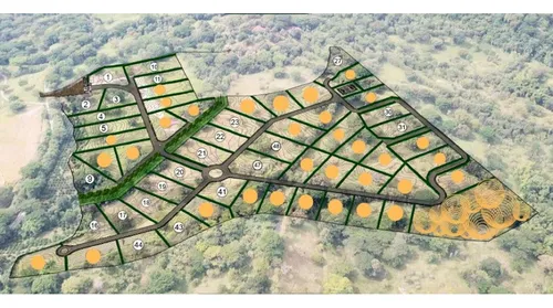 Vendo Lotes En La Pintada Con Vista A Farallones Desde 2.703 M²