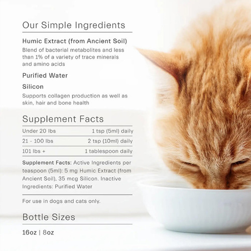Suplemento Ion Intelligence Of Nature Gut Support 480 Ml