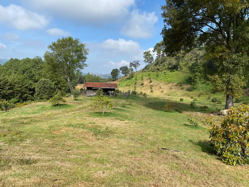 Terreno En Venta En Jesus Del Monte  Morelia