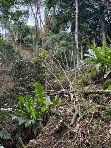 Hermosísima Finca Para Inversión