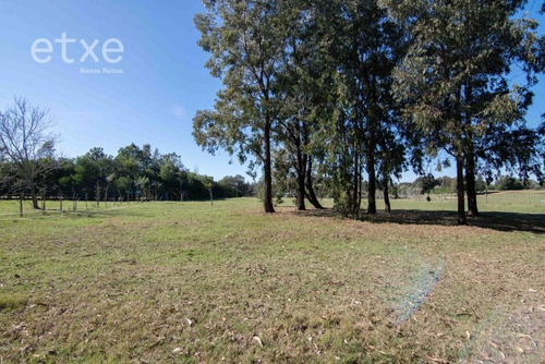 Imagen 21 de 26 de Chacra En Venta Mangrullo Punta Piedras