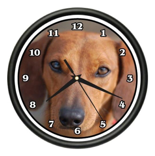 Reloj De Perro Salchicha Marrón Pared Perro Perro Perro Masc